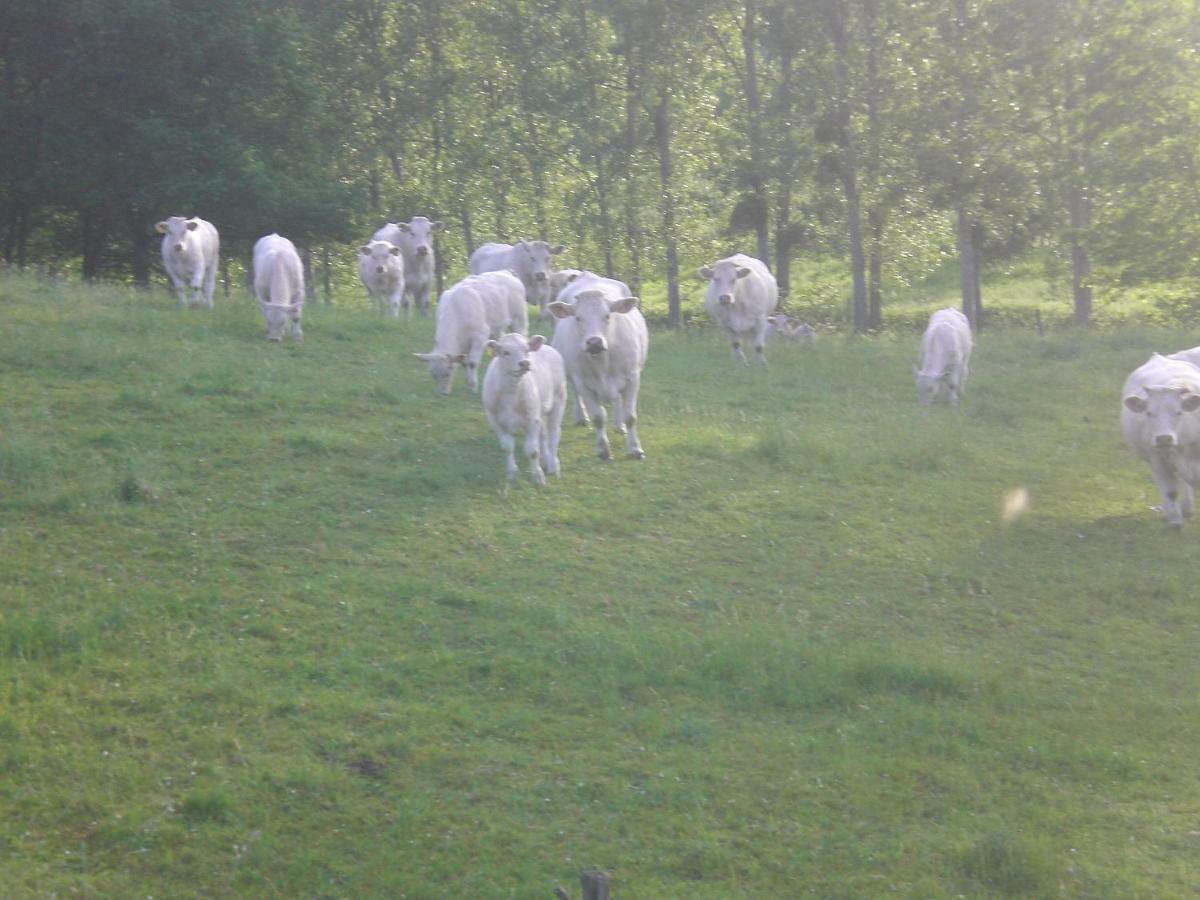 Chez Mimoune Trezioux Eksteriør bilde
