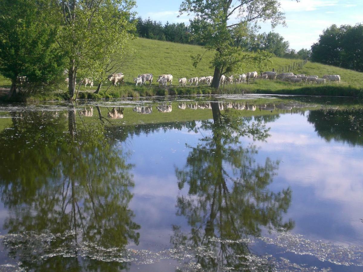Chez Mimoune Trezioux Eksteriør bilde